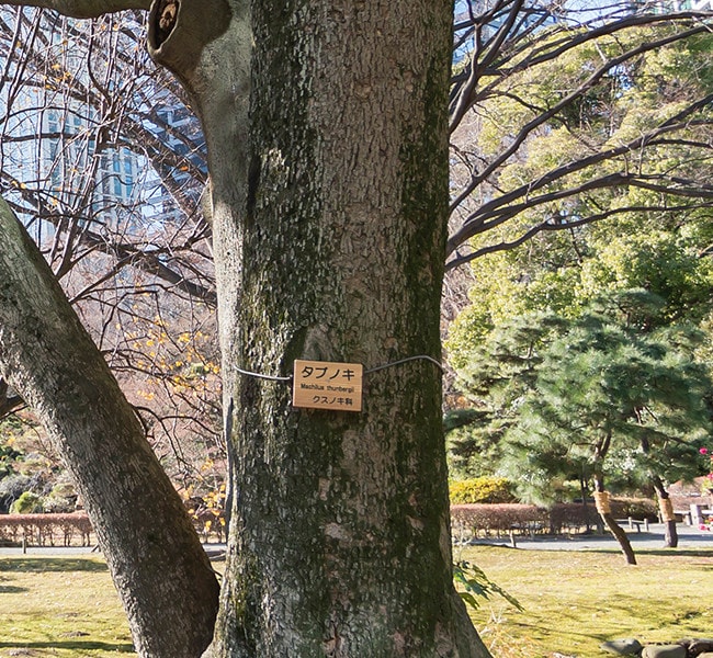 ゆるっと公園ガイド Vol 2 実践編 ソトイコ 肺がんとともに生きる